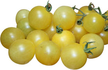 Orange Cherry Tomato Seeds prized among growers for snacking & Salads
