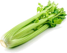 Celery Apium Graveolens Mini Annual Seeds for productive rows in the Small Space Containers