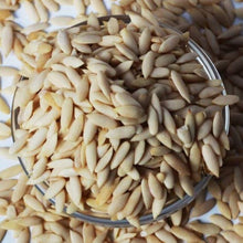 Fortuna Melon Seeds valued by growers for summer Harvests