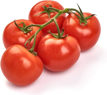 Heirloom Tomato Homestead Bulk Seeds for productive rows in the Home Gardens