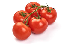 Homestead Tomato Seeds prized among growers for heavy Yields