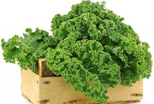 Ethiopian Kale Seeds (Brassica carinata) for a reliable harvest in the vegetable patches and home gardens