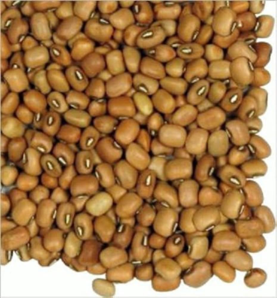 Cajanus Cajan Pigeon Pea Gandules Seeds Exotic Edible Beans Rare Gandul Seeds  Ornamental Garden Plant Premium Quality Seeds