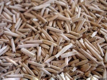 Desert Rose Seeds (Adenium obesum) for growers filling out the home garden or indoor pots