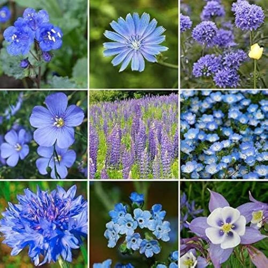 Fine - Gardens for planting in home garden