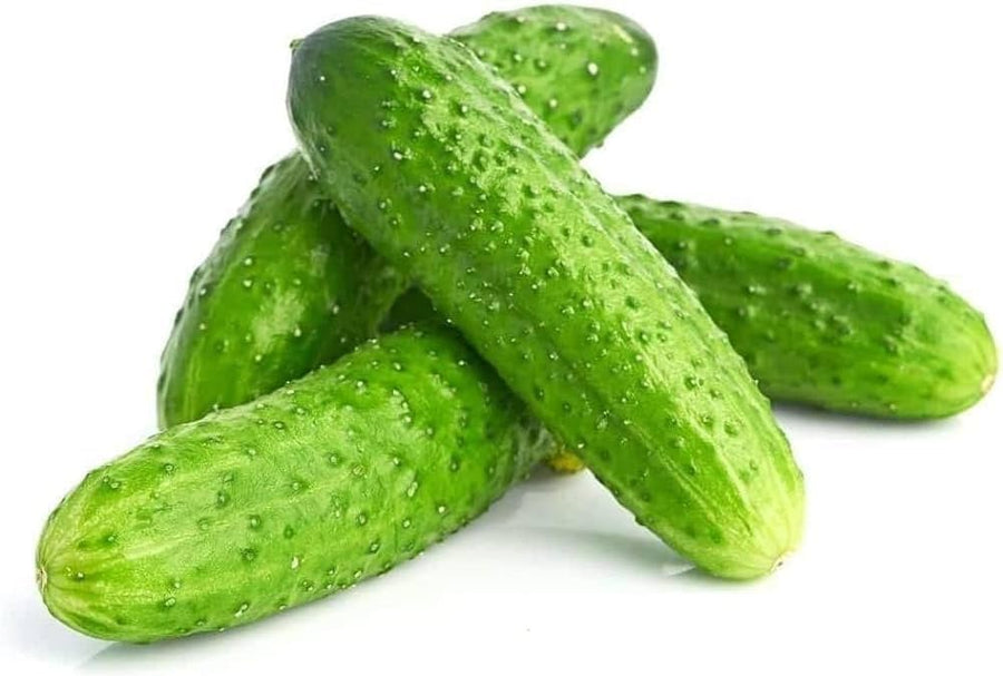 Dekan (Cucumber Seeds – Crisp Green Variety for Slicing or Pickling) for planting in garden