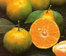 Italian Mandarin Seeds, Fruit Tree, Citrus, Very Sweet, Tangerine, et of  Ornamental Garden Plant for Home Gardening