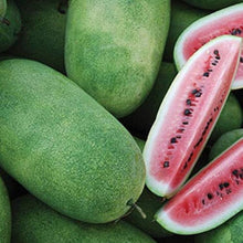 Giant Watermelon Seeds prized among growers for charleston Grey Sweet Fruit