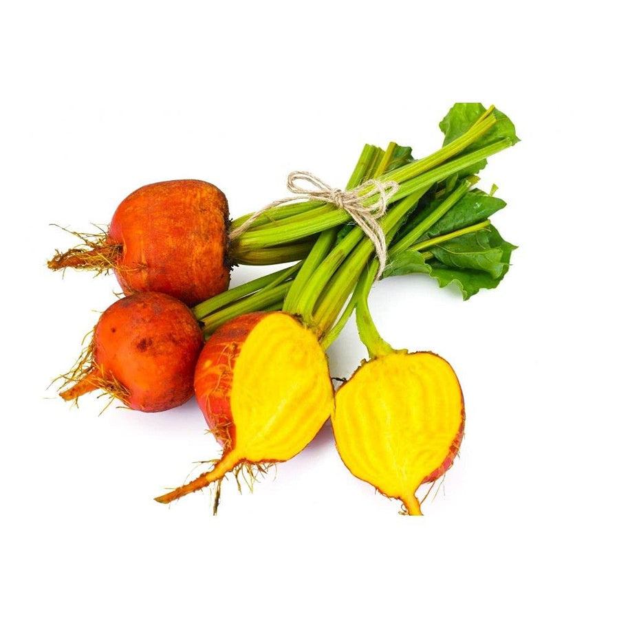 Golden Beet Detroit for organic vegetable patch