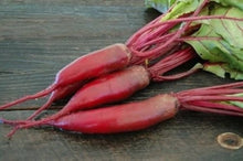 Beet Gardens for planting in home garden.