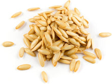 DAR Cucumber Seeds (Cucumis sativus) for a fresh homegrown crop from the Vegetable Patch