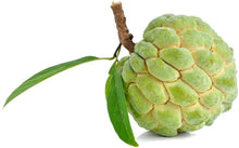 Annona Seeds (Annona squamosa) for growers wanting a homegrown harvest