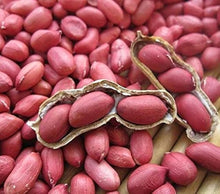 Red Peanut Seeds for growers stocking a kitchen garden