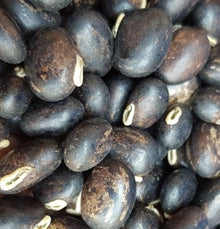 Mucuna Mucuna Pruriens Red Flower Seeds for Planting – Great for Vertical Garden and Trellis Growth