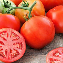 Organic Old German Tomato Seeds for growers stocking the Your Garden