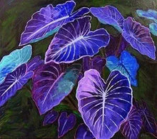 Caladium Bicolor Plant Caladium bicolor for planting in flower bed