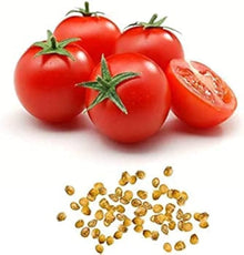 Red Racer Tomato Seeds prized among growers for home Gardening