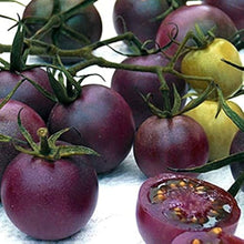 Tomato Pots for planting in home garden.
