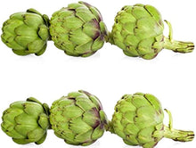 Artichoke Green Globe Seeds for productive rows in the perennial vegetable garden crops