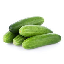 Poona Kheera Cucumber Seeds for planting unique cucumbers in garden