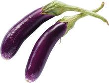 Plant Seeds (Japanese eggplant) for growers stocking the home vegetable garden or patio pots