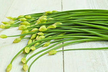 Small Chives Seeds for cooks growing their own fresh herbs