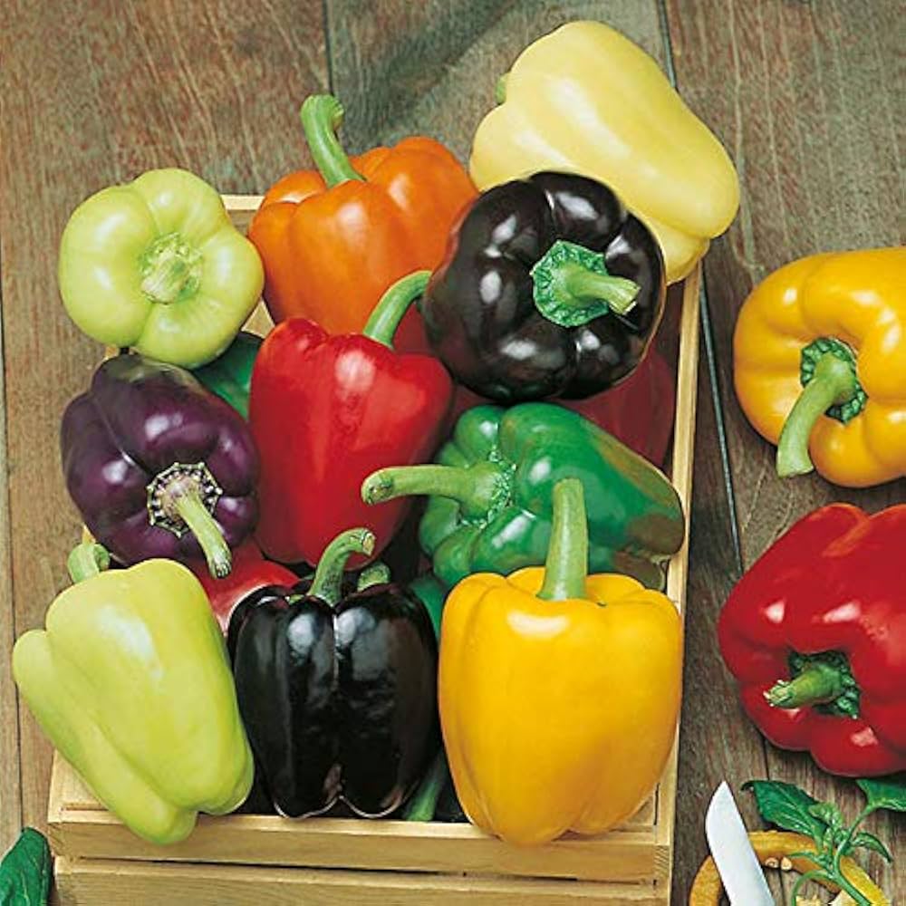 Mixed Sweet Bell Pepper seeds blend for garden planting