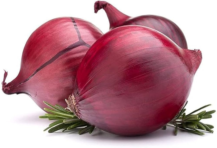 Winter Onion Red herb seeds