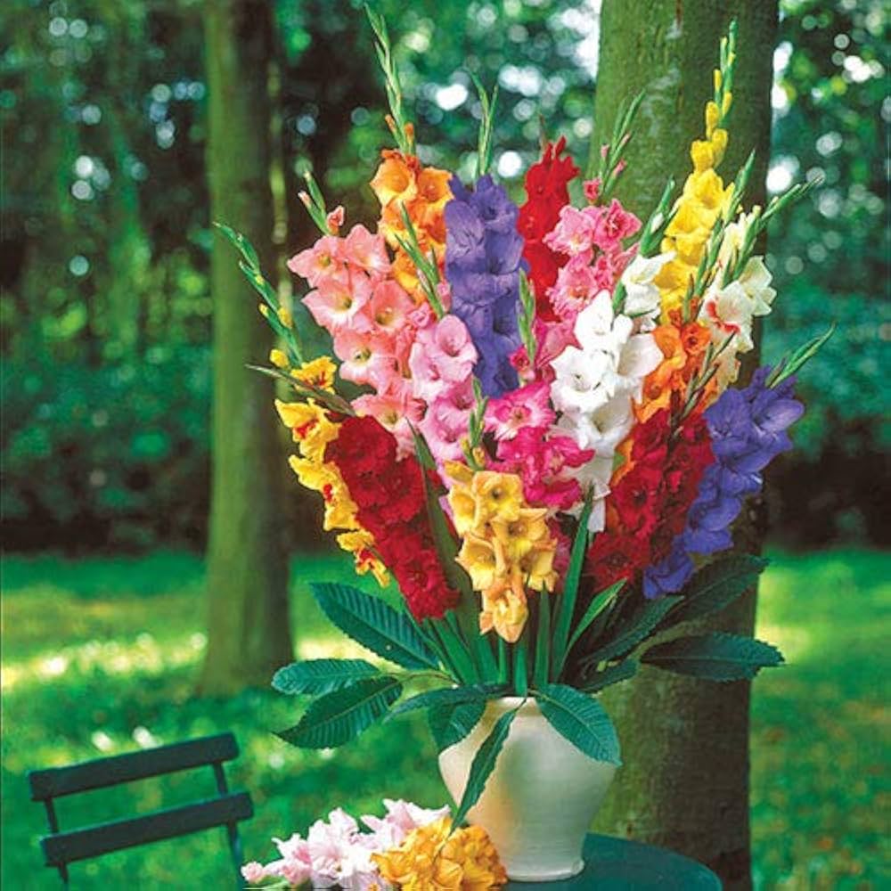 Organic flower bulbs ��������� certified bio seeds for colorful garden blooms