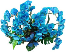 Blue Orchid Seeds (Vanda coerulea) for seasonal color across the exotic indoor gardening and tropical pot planting
