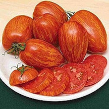 Tomato Seeds (Solanum lycopersicum) for a fresh homegrown crop from the Striped Roman Variety in Kitchen Garden