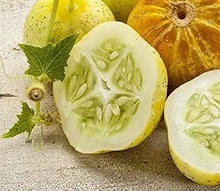 Cucumber Cucumis Sativus Red Yellow White Seven Types Seeds prized among growers for culinary Use
