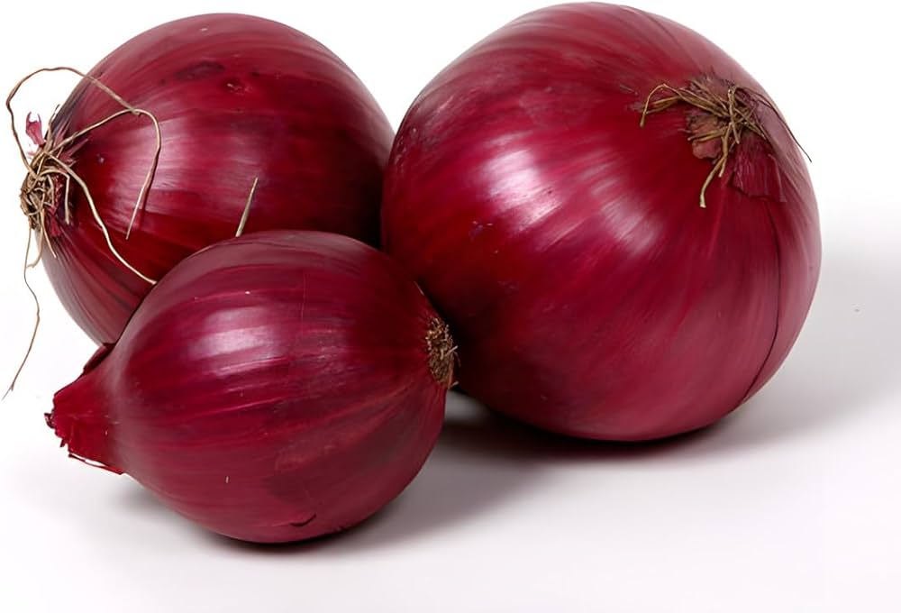 Onion Allium cepa vegetable seeds for planting