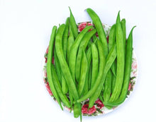 Glyceria Maxima Plant Seeds