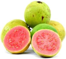 Guava Seeds for a homegrown harvest from the Psidium orchard edible garden