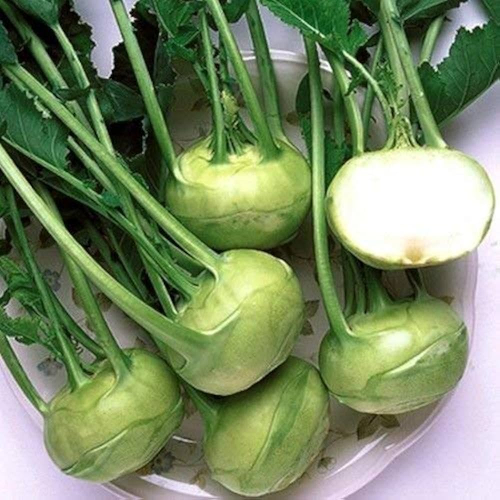 White Viennese Kohlrabi seeds