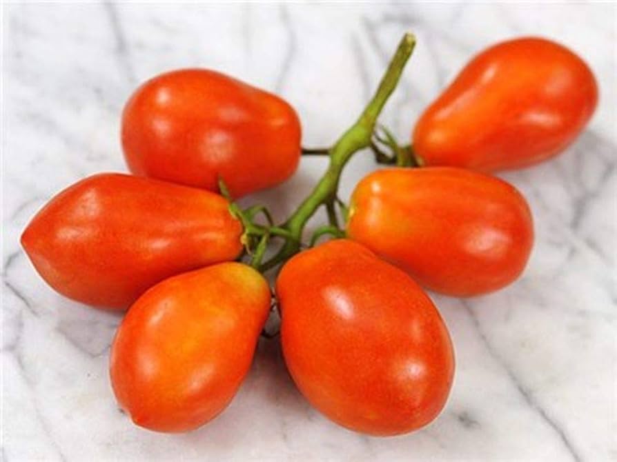 Tomato Pots for planting in home garden.