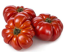 Heirloom Belarusian Herz Tomato Seeds known for non-GMO, Delicious Tomato Harvests