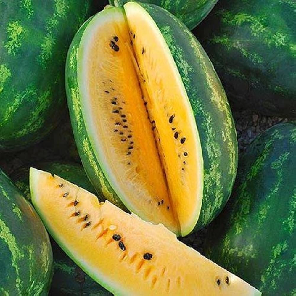 Yellow watermelon seeds for organic garden fruit planting