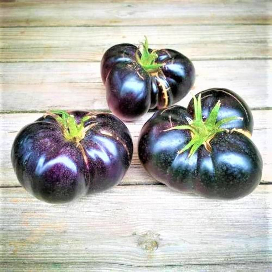 Rainbow (Mixed Traditional Carrot Seeds – Colorful Heirloom Blend for Fun Harvests) for planting in garden