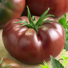 Black Russian Elephant Tomato Seeds (Solanum lycopersicum) for productive rows in the large, sweet heirloom tomatoes in home vegetable gardens
