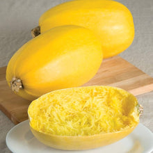 Spaghetti Squash Melon Seeds (Cucurbita pepo) for a fresh homegrown crop from the Vegetable Patch