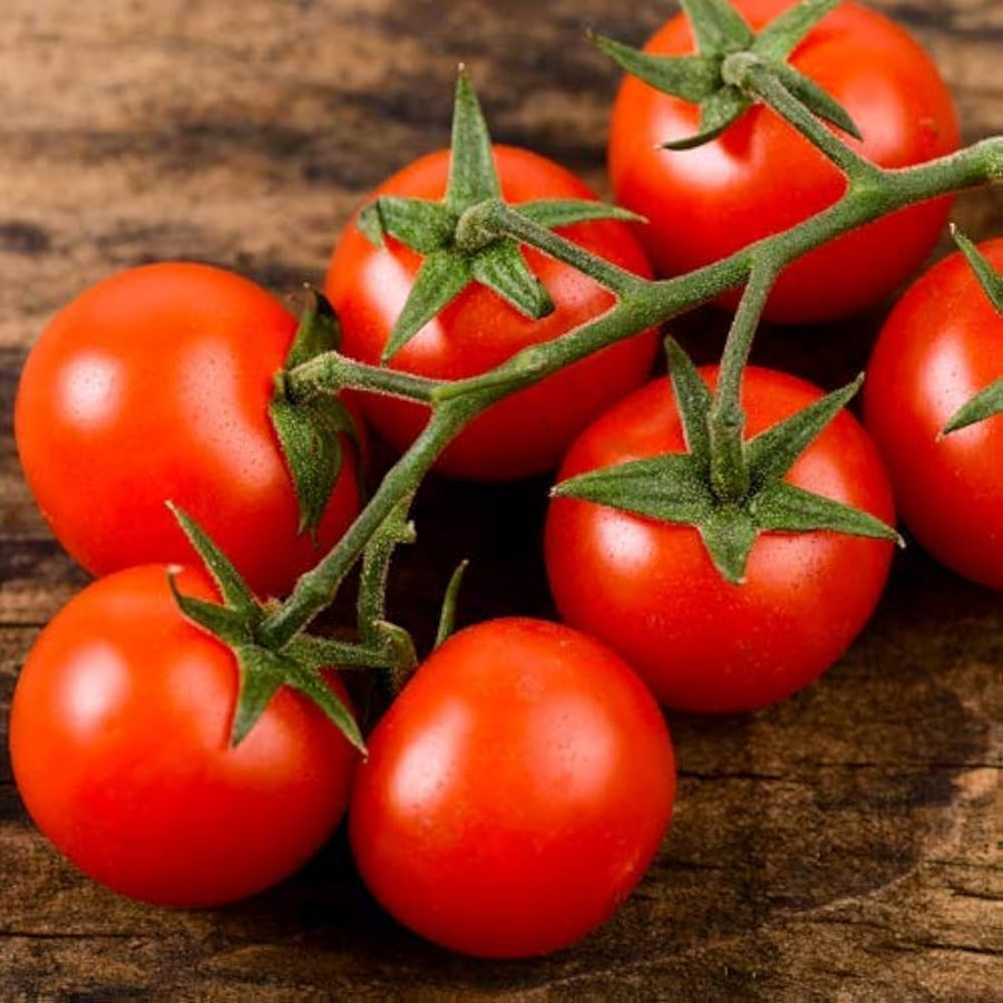 Southport (Red Globe Onion Seeds – Heirloom Variety with Deep Red Bulbs) for planting in garden