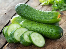 Spacemaster Cucumber Seeds for productive rows in the Productive Home Vegetable Gardens