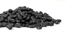 Black Turtle Bush Bean Seeds for a fresh homegrown crop from the Home Gardens