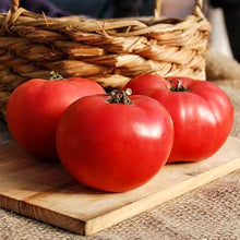 Red Rose Tomato Seeds (Solanum lycopersicum) for home growers seeking a reliable harvest