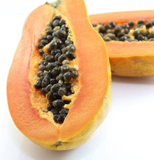Giant Papaya Seeds (Carica papaya) for a sweet addition to the home orchard