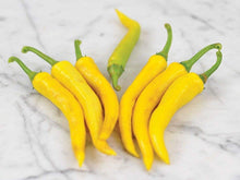 Sweet red pepper Seeds (Capsicum annuum) for a reliable harvest in the organic vegetable gardens