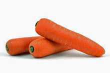 Danvers Carrot Seeds for a productive addition to the vegetable patch