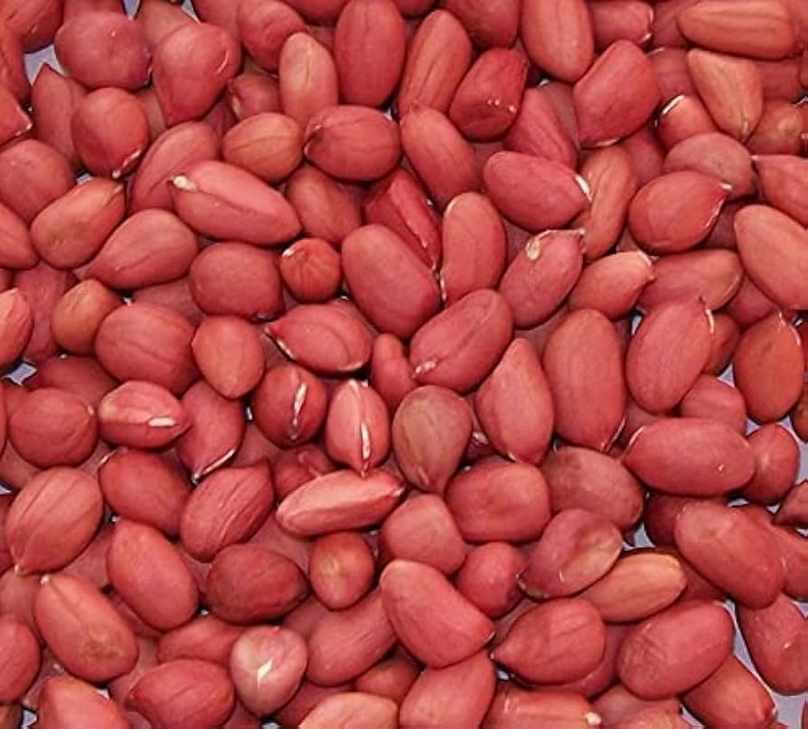 Red peanut fruit seeds Chinese earth bean